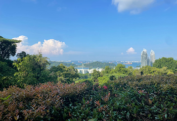 花柏山公园第 55 张图片