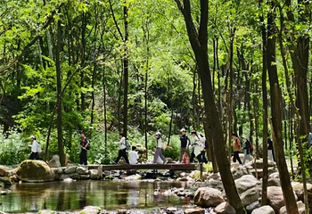 玉渡山景区第 82 张图片