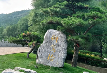 蒙山大佛第 33 张图片