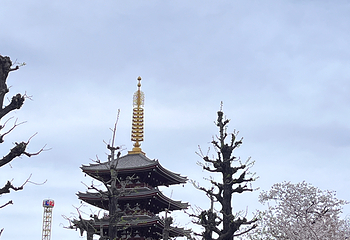 浅草寺第 125 张图片