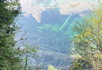 神仙池风景区第 24 张图片