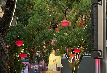 大唐不夜城第 238 张图片