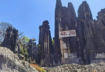 石林风景区第 87 张图片