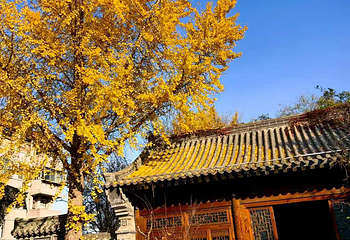 青州古城第 100 张图片