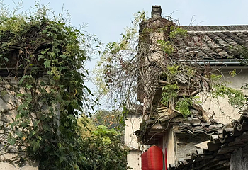 宏村景区第 634 张图片