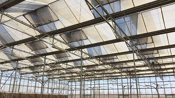 葡萄大观园(胜利干渠桥)