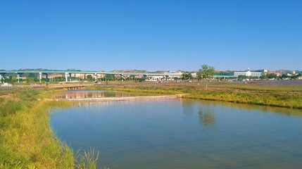 兰州中川机场薰衣草公园第 1 张图片
