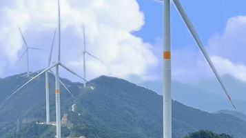 名树名花园-风车