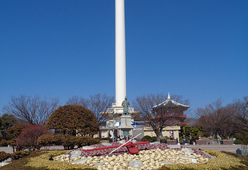 釜山塔第 14 张图片