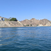 Oman - Muscat Dolphin Watching & Snorkeling