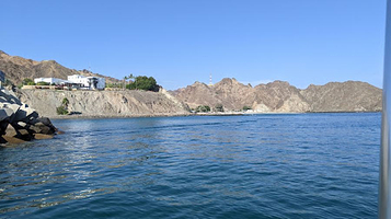 Oman - Muscat Dolphin Watching & Snorkeling