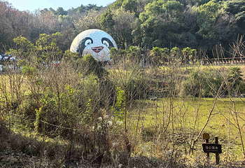 红山森林动物园第 264 张图片