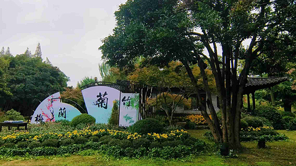 个园第 176 张图片