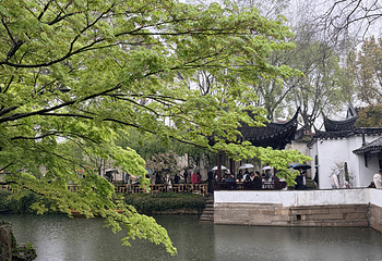 拙政园第 386 张图片