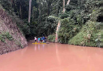 基诺山雨林徒步第 47 张图片