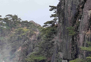 黄山风景区第 496 张图片