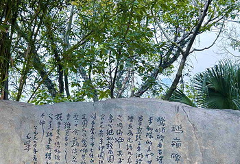 鹅岭公园第 94 张图片