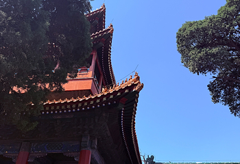 曲阜三孔景区第 203 张图片