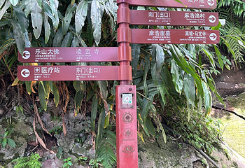 乐山大佛第 209 张图片