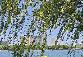 石湖景区第 136 张图片