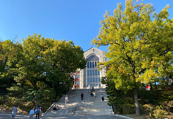 梨花女子大学第 17 张图片