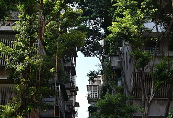 西华路美食街第 33 张图片