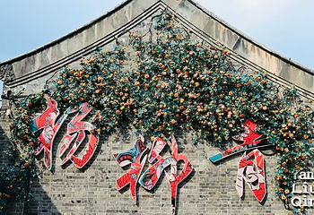 杨柳青古镇第 53 张图片