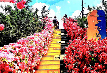 老界岭旅游度假区第 117 张图片