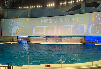 日照海洋公园第 132 张图片