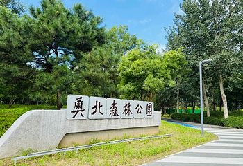 奥林匹克森林公园第 39 张图片