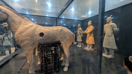 秦始皇帝陵博物院(兵马俑)第 413 张图片