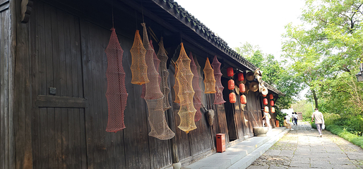 西溪国家湿地公园第 204 张图片