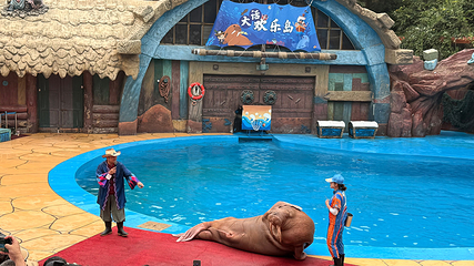 老虎滩海洋公园第 93 张图片