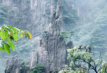 黄山风景区第 369 张图片