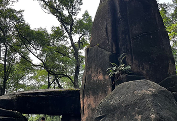 歌乐山国家森林公园第 89 张图片