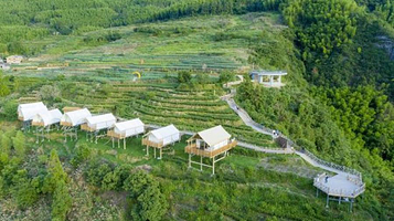 政和明月松间露营地