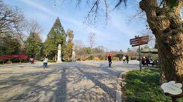 钟山风景名胜区明孝陵景区石象路神道