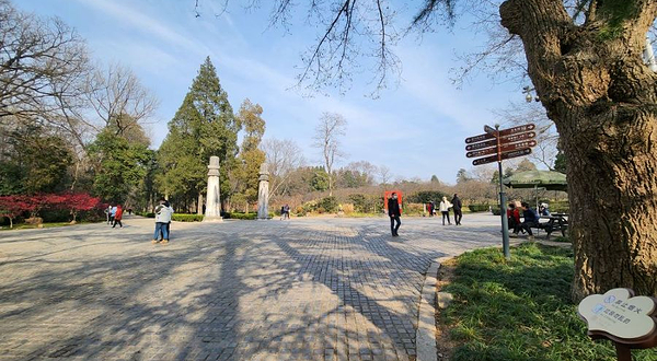 钟山风景名胜区明孝陵景区石象路神道