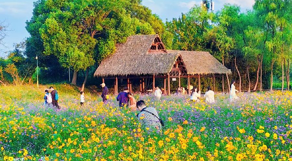 西溪国家湿地公园-观鸟亭