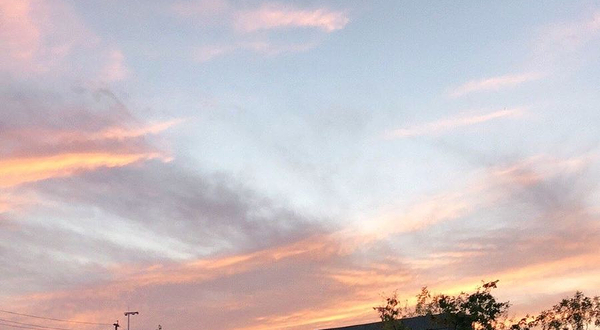 额济纳旗生态广场