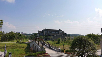 泸州长江湿地公园