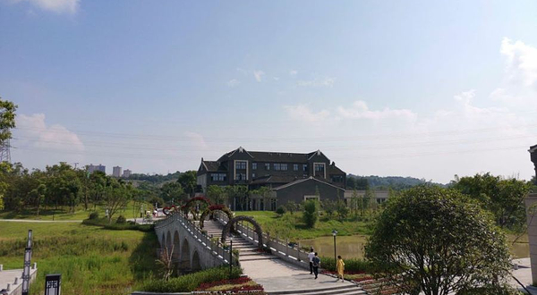 泸州长江湿地公园
