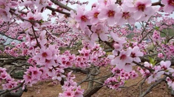 北京平谷金海湖风景区-湖光山色