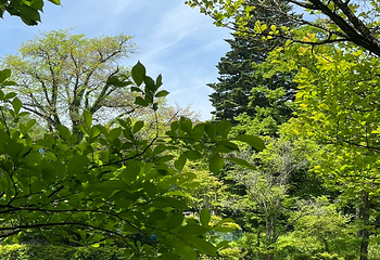 云场池第 18 张图片