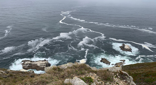 Point Reyes National Seashore