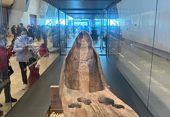 国家海洋博物馆第 64 张图片