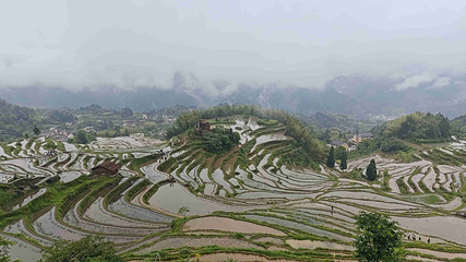 云和梯田景区第 96 张图片
