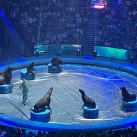 莫斯科国立大马戏团