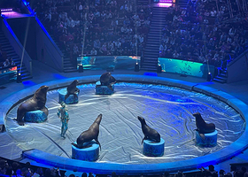 莫斯科国立大马戏团