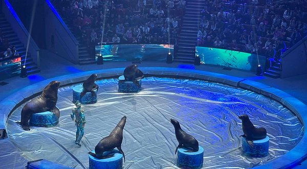 莫斯科国立大马戏团